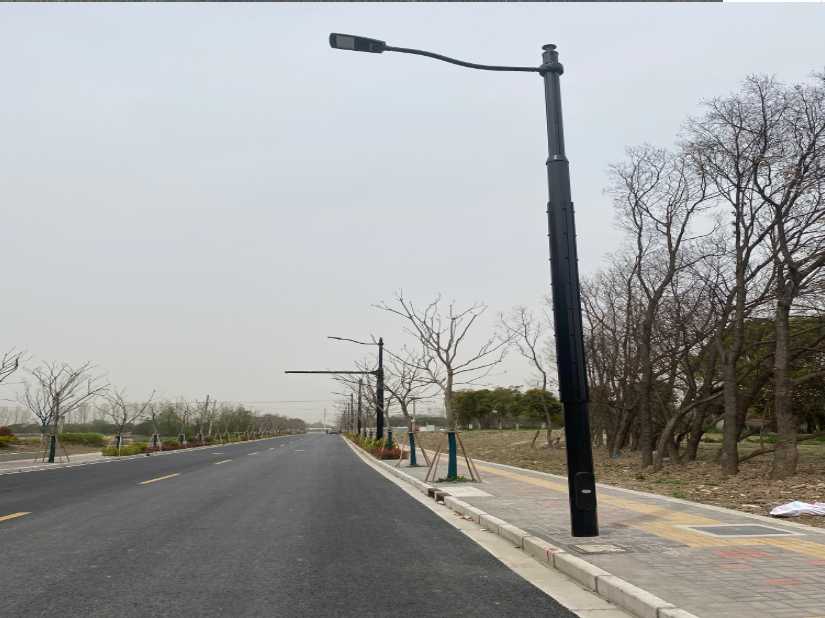九台区上海综合杆 太阳能路灯工程